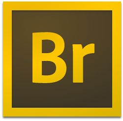 BR2019.jpg
